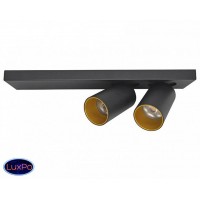 Светильник настенно-потолочный Lumien Hall КАЙЛ 8002/2W-BK-GD
