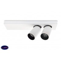 Светильник настенно-потолочный Lumien Hall КАЙЛ 8002/2W-WT-BK