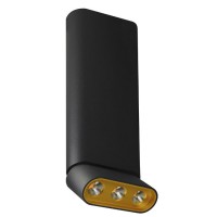 Светильник накладной Lumien Hall ФЕРГУС 8005/3CL-BK-GD