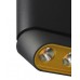 Светильник накладной Lumien Hall ФЕРГУС 8005/3CL-BK-GD