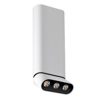 Светильник накладной Lumien Hall ФЕРГУС 8005/3CL-WT-BK