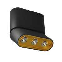 Светильник накладной Lumien Hall ФЕРГУС 8005/3CS-BK-GD