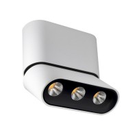 Светильник накладной Lumien Hall ФЕРГУС 8005/3CS-WT-BK
