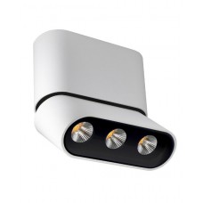 Светильник накладной Lumien Hall ФЕРГУС 8005/3CS-WT-BK