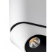 Светильник накладной Lumien Hall ФЕРГУС 8005/3CS-WT-BK Светильник накладной Lumien Hall ФЕРГУС 8005/3CS-WT-BK