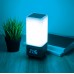 Лампа настольная с Bluetooth-колонкой Elektrostandard 80418/1 серебристый a045354