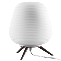 Настольная лампа Lightstar ARNIA 805911