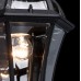 Уличный светильник подвесной MW-Light Сандра 811010301