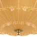 Потолочный светильник Lightstar Zucche 820262