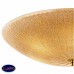 Светильник потолочный Lightstar Zucche 820863