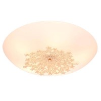 Настенно-потолочный светильник Silver Light Verbena 835.50.5