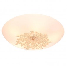 Настенно-потолочный светильник Silver Light Verbena 835.50.5