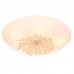 Настенно-потолочный светильник Silver Light Verbena 835.50.5