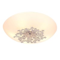 Настенно-потолочный светильник Silver Light Verbena 836.50.5