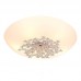 Настенно-потолочный светильник Silver Light Verbena 836.50.5