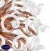Подвесная люстра Lightstar Medusa 890184