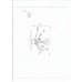 Бра Lightstar Celesta 893622