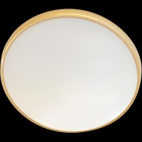 Светильник потолочный Adilux 291R-Yellow 999