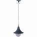 Уличный светильник Arte Lamp A1085SO-1BG Malaga