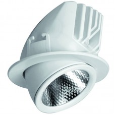 Точечный светильник Arte Lamp A1212PL-1WH CARDANI