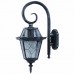 Уличный светильник Arte Lamp A1352AL-1BS Paris