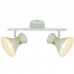 Спот Arte lamp A1406AP-2WG Baltimore