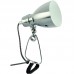Настольная лампа Arte Lamp A1409LT-1CC DORM
