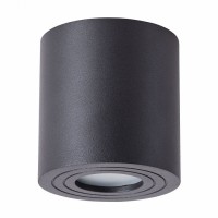 Светильник накладной Arte Lamp GALOPIN A1460PL-1BK