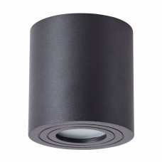 Светильник накладной Arte Lamp GALOPIN A1460PL-1BK