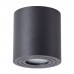 Светильник накладной Arte Lamp GALOPIN A1460PL-1BK