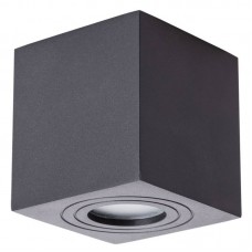 Светильник накладной Arte Lamp GALOPIN A1461PL-1BK