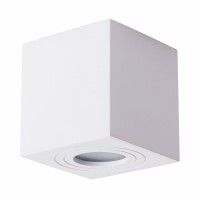 Светильник накладной Arte Lamp GALOPIN A1461PL-1WH