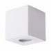 Светильник накладной Arte Lamp GALOPIN A1461PL-1WH