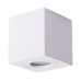 Светильник накладной Arte Lamp GALOPIN A1461PL-1WH