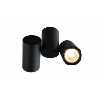 Светильник накладной Arte Lamp GAVROCHE A1511PL-2BK