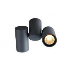Светильник накладной Arte Lamp GAVROCHE A1511PL-2GY