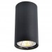 Светильник накладной Arte Lamp Unix A1516PL-1BK