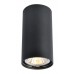 Светильник накладной Arte Lamp Unix A1516PL-1BK