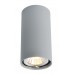 Светильник накладной Arte Lamp Unix A1516PL-1GY