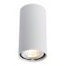 Светильник накладной Arte Lamp Unix A1516PL-1WH