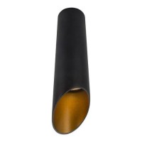 Светильник потолочный Arte Lamp PILON-GOLD A1535PL-1BK