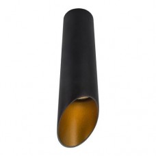 Светильник потолочный Arte Lamp PILON-GOLD A1535PL-1BK
