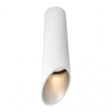 Светильник потолочный Arte Lamp PILON-SILVER A1535PL-1WH