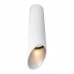 Светильник потолочный Arte Lamp PILON-SILVER A1535PL-1WH