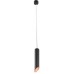 Светильник подвесной Arte Lamp PILON-GOLD A1536SP-1BK