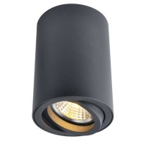 Светильник накладной Arte Lamp Sentry A1560PL-1BK