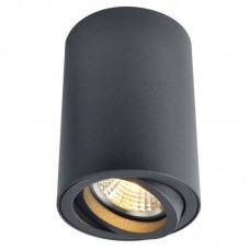 Светильник накладной Arte Lamp Sentry A1560PL-1BK