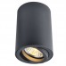 Точечный светильник Arte Lamp(SENTRY) A1560PL-1BK