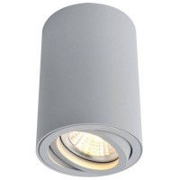 Светильник накладной Arte Lamp Sentry A1560PL-1GY