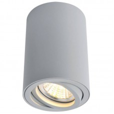 Светильник накладной Arte Lamp Sentry A1560PL-1GY